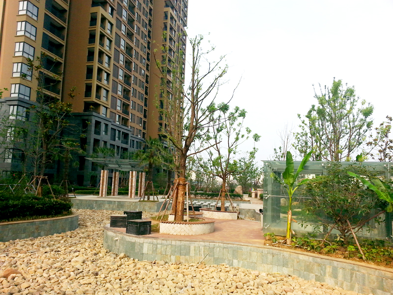 九游會(huì)老哥必備的交流社區(qū)_論壇帖吧