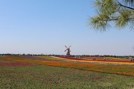 九游會老哥必備的交流社區_論壇帖吧