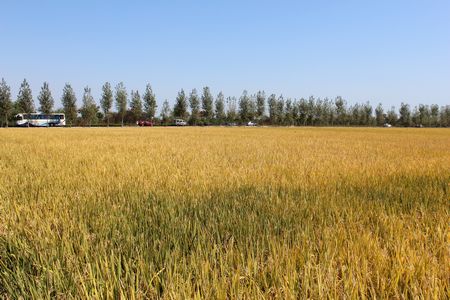 九游會老哥必備的交流社區_論壇帖吧