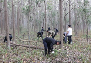 九游會(huì)老哥必備的交流社區(qū)_論壇帖吧