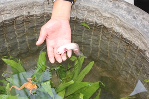 九游會老哥必備的交流社區_論壇帖吧