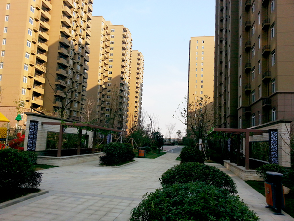 九游會老哥必備的交流社區_論壇帖吧