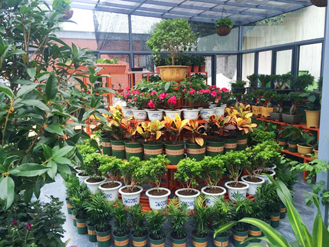 九游會老哥必備的交流社區(qū)_論壇帖吧