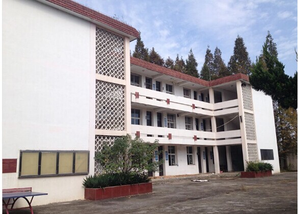 九游會(huì)老哥必備的交流社區(qū)_論壇帖吧