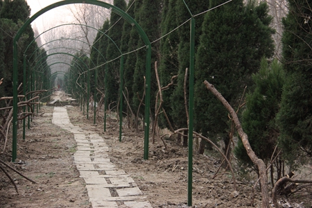 九游會老哥必備的交流社區_論壇帖吧