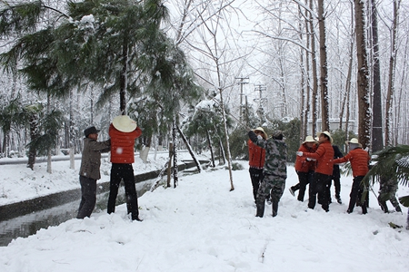 九游會老哥必備的交流社區(qū)_論壇帖吧