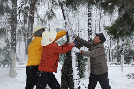 九游會老哥必備的交流社區(qū)_論壇帖吧