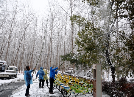 九游會(huì)老哥必備的交流社區(qū)_論壇帖吧