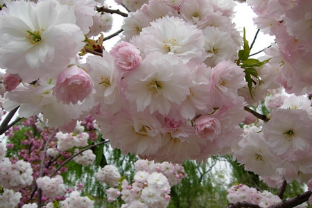 九游會老哥必備的交流社區(qū)_論壇帖吧