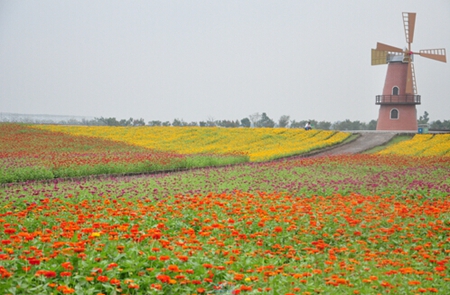 九游會(huì)老哥必備的交流社區(qū)_論壇帖吧