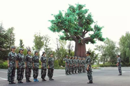 九游會老哥必備的交流社區_論壇帖吧