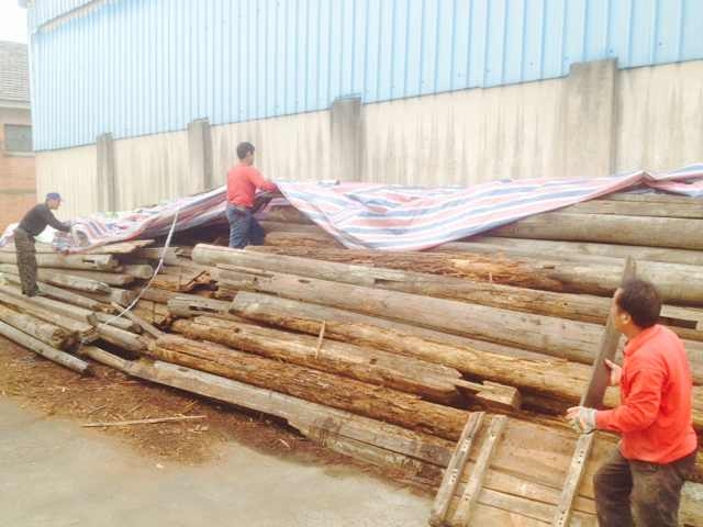 九游會老哥必備的交流社區_論壇帖吧