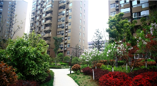 九游會老哥必備的交流社區_論壇帖吧