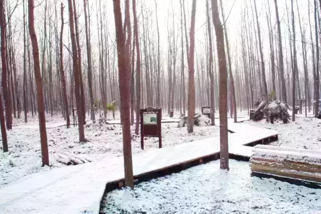 九游會老哥必備的交流社區_論壇帖吧