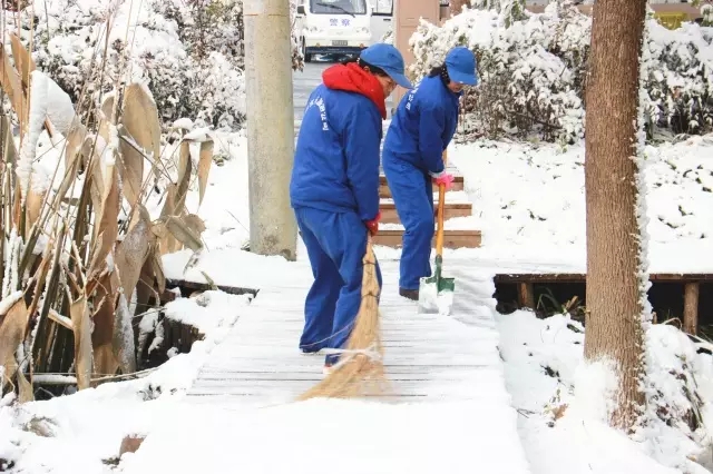 九游會老哥必備的交流社區_論壇帖吧