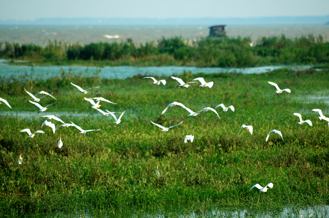 九游會老哥必備的交流社區_論壇帖吧