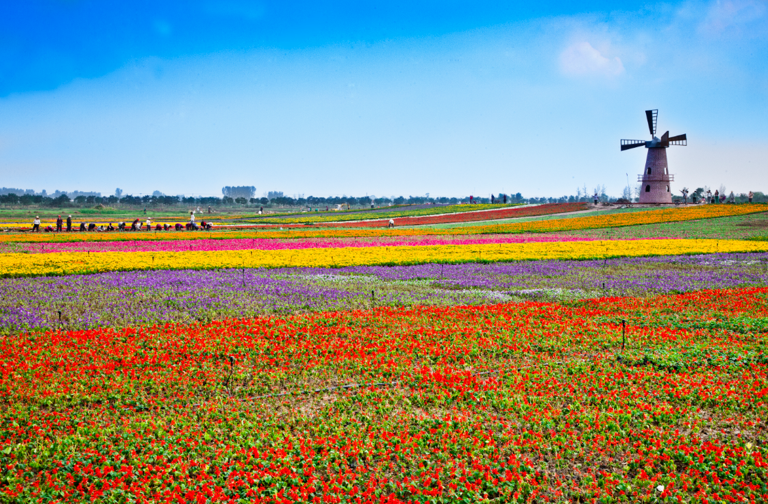 九游會老哥必備的交流社區_論壇帖吧