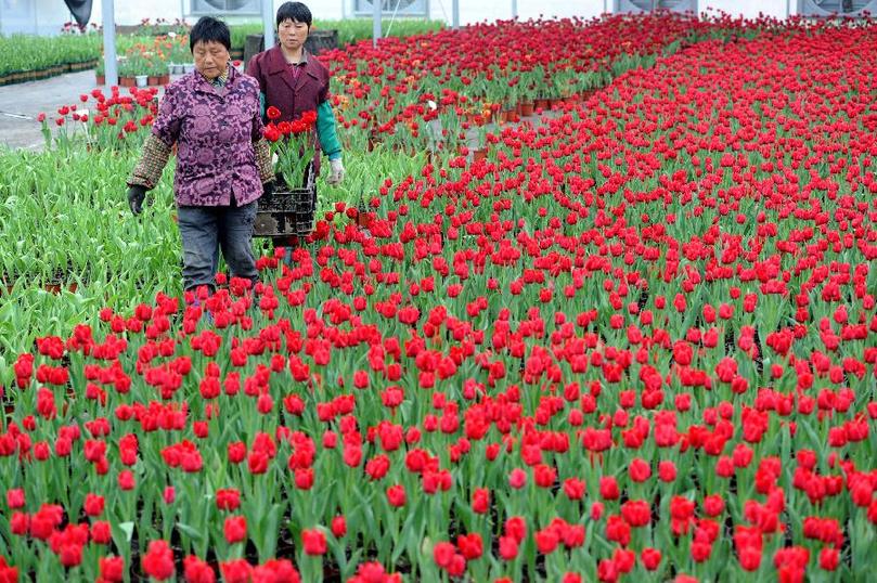 九游會老哥必備的交流社區_論壇帖吧