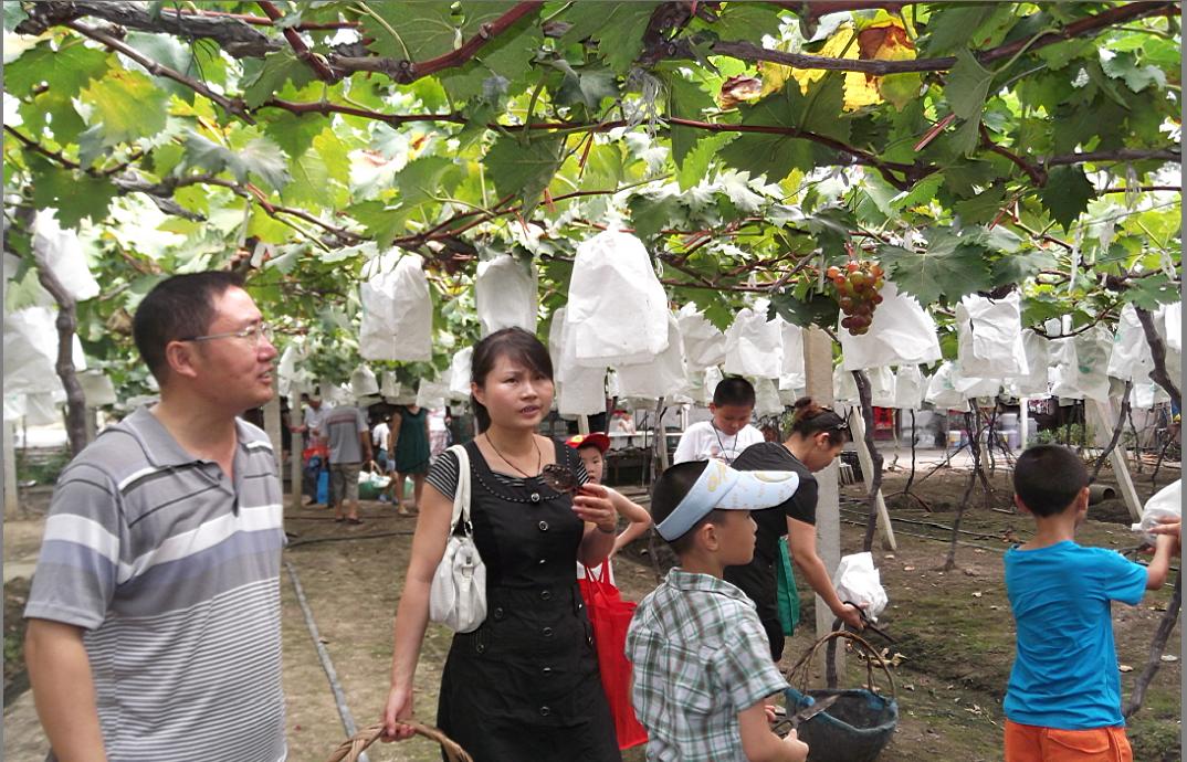 九游會老哥必備的交流社區_論壇帖吧