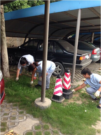 九游會老哥必備的交流社區_論壇帖吧