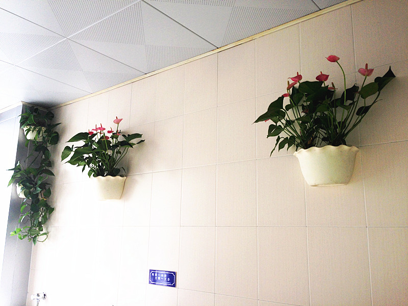 九游會(huì)老哥必備的交流社區(qū)_論壇帖吧