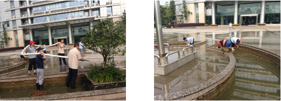 九游會老哥必備的交流社區_論壇帖吧