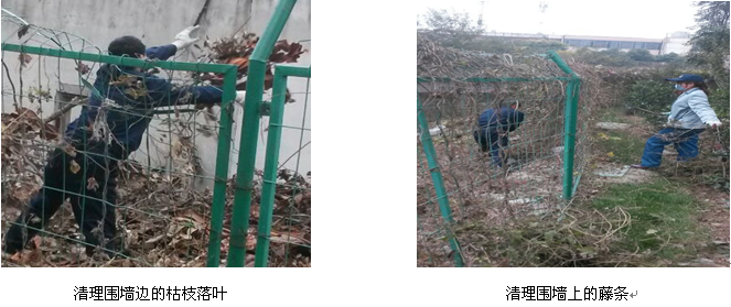 九游會老哥必備的交流社區_論壇帖吧