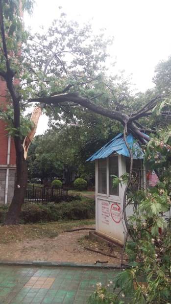 九游會老哥必備的交流社區(qū)_論壇帖吧