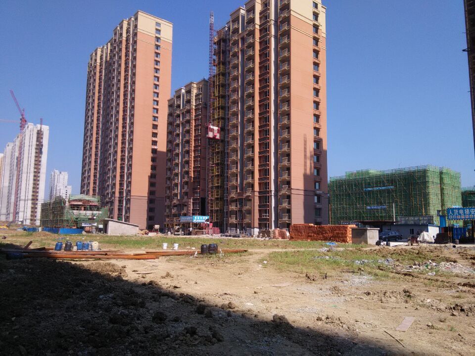 九游會老哥必備的交流社區_論壇帖吧