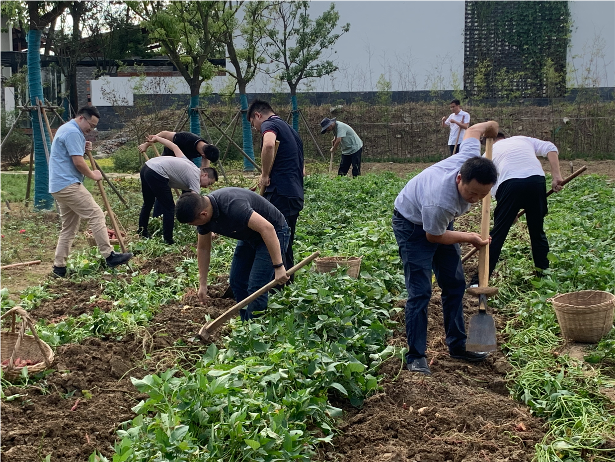 九游會老哥必備的交流社區_論壇帖吧