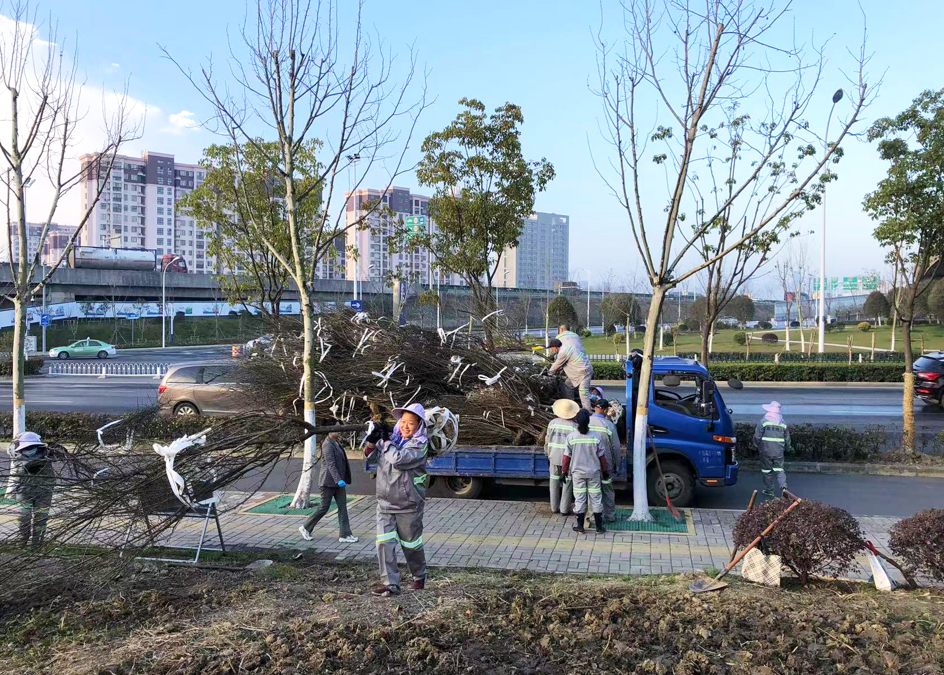 九游會老哥必備的交流社區_論壇帖吧