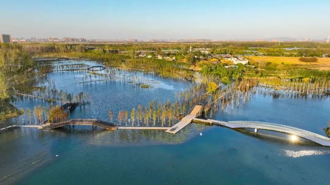 九游會老哥必備的交流社區(qū)_論壇帖吧