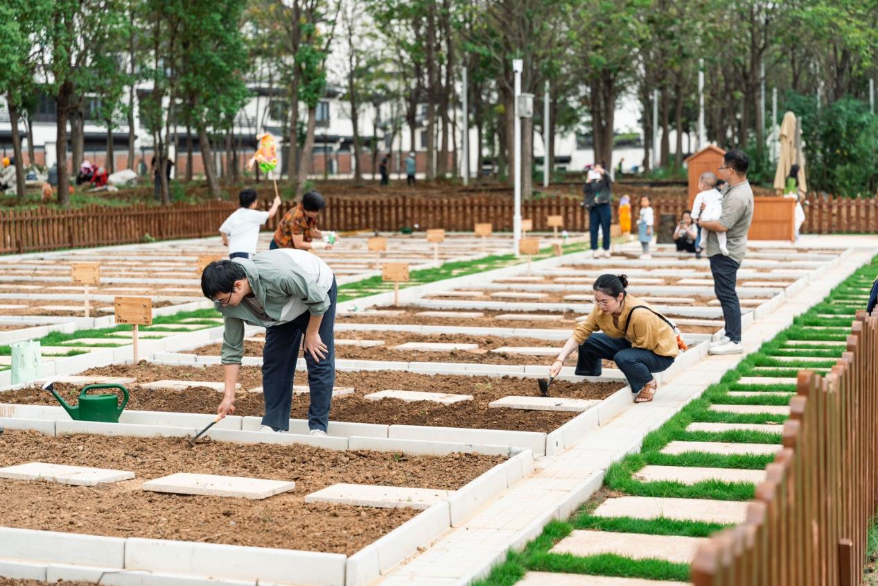 九游會老哥必備的交流社區_論壇帖吧